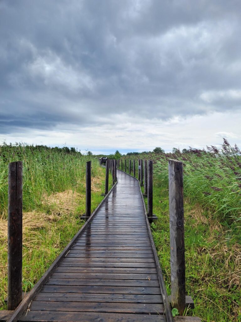 Hei Sinä! Oletko selviytyjä? Jakaisitko tarinasi?